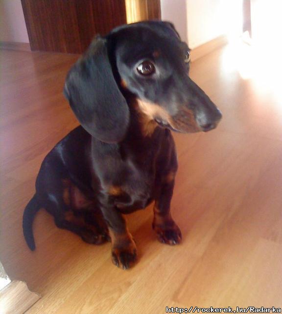 Rocky :)