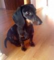 Rocky :)