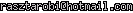 msn