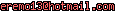 msn