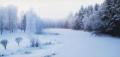 nemkellelmondanom mirt ez..finland(L)