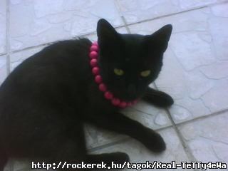 ciccm Sanyi