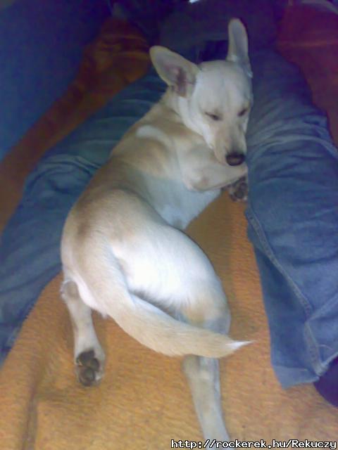 Kidgltt  :)