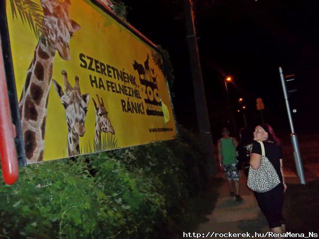 :) Grdonyi nyarals