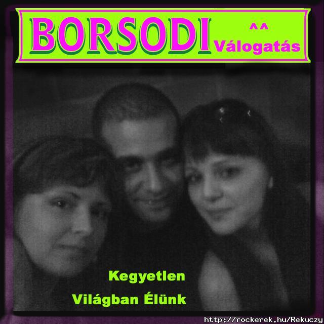 Borsodi vlogats bortja