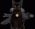 black-cat-and-crow-with-pentagram[1]