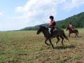 riderofdeath