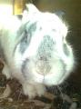 Adolf a nyl *-*#9829;