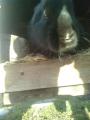 Pedro*-*#9829;