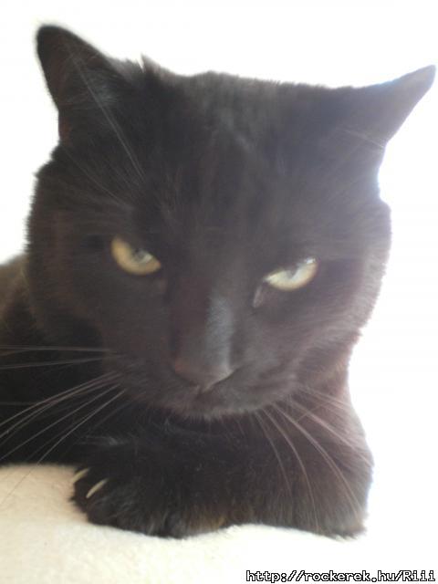 Maku