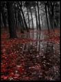 gothicplaces24