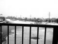 sajt-Walks of the Unhappy ducks at the dead river-sajt