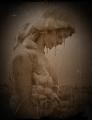 frozen tears