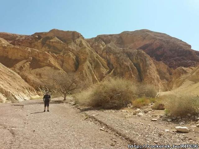 Negev Sivatag