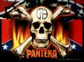 51294~Pantera-Flag-and-Skull-Posters