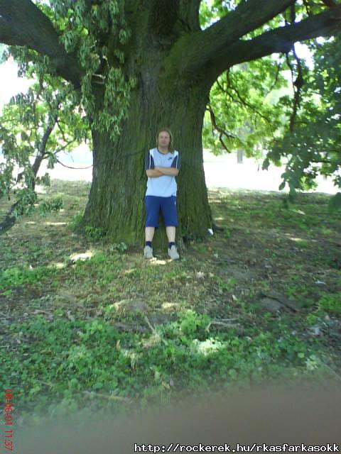 DSC00599