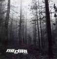A Forest