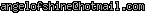 msn