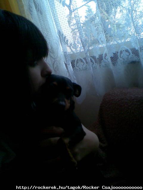 n,,,,,kutyum XD
