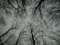 PICT1955