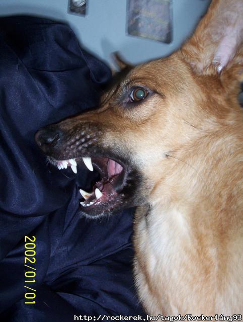  itt Shelly. A kutym.  is Metal face :D \m/