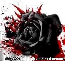  Szvem-eszem, mint g s fld, kt ellentt, mely kt kln dolgot diktl. Az eszem azt: - Felejtsd mr el- mg is el hozza a sok szp emlket! A szvem: - Kzdj rte- mg is el hozza a rossz dolgokat! Kt ellentt mg is egyms nlkl resek. Mint aho