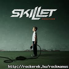 skillet