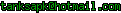 msn