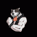 pit_bull_logo_black_edit_final