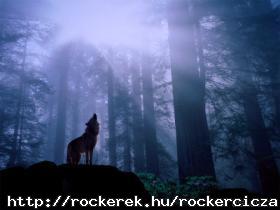 12969_wallpaper280