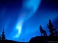 10866_wallpaper280