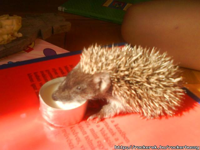 Snci:)