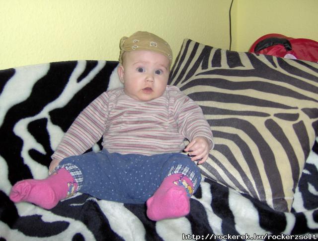 Babuci