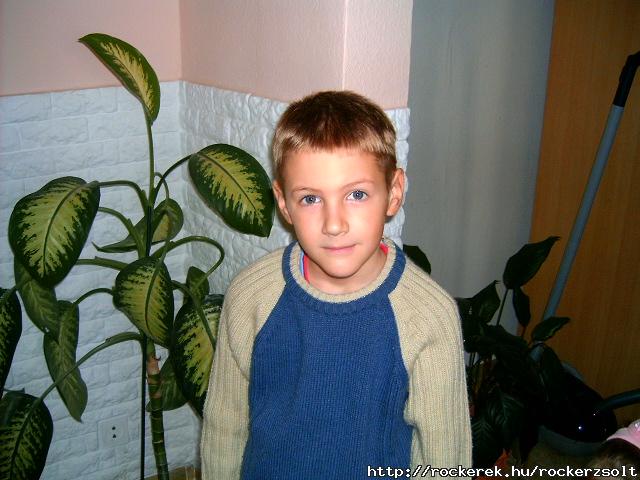Szintn a fiam