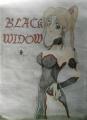 Black Widow Lady
