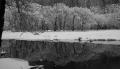 Depressive - Winter - Forest - Snow