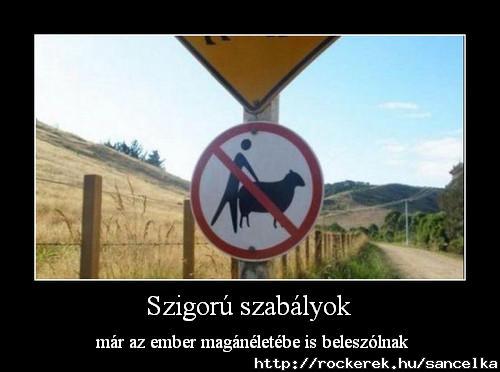 Van benne valami