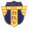 BKV Elre