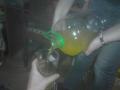 DSC00021