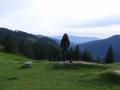 DSCF1376