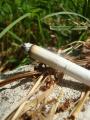 hamvad cigaretta