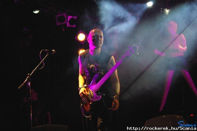Snake Heart - Vincze Zoltn