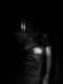 Hallucinator