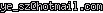 msn