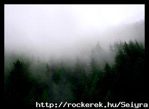 Into_The_Wild_by_WarrenBodnaruk
