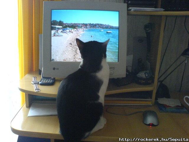 Cilu keresztfiam nyaral :-)