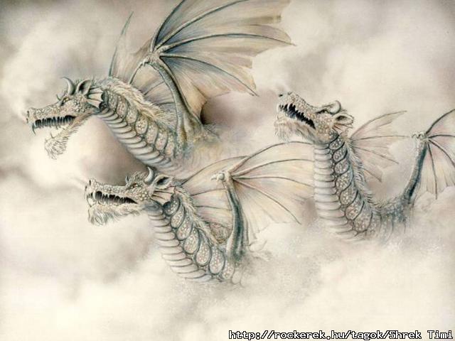 DragonWorld019