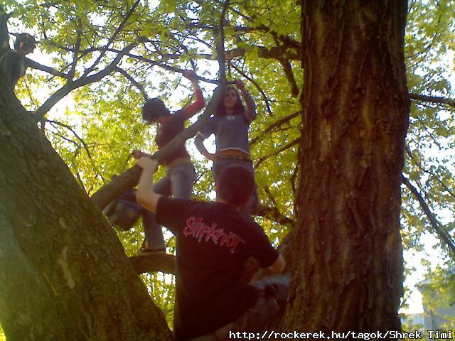 Picture0041