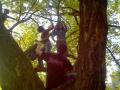 Picture0041