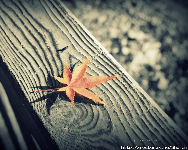 lonely_and_alone_by_jyoujo